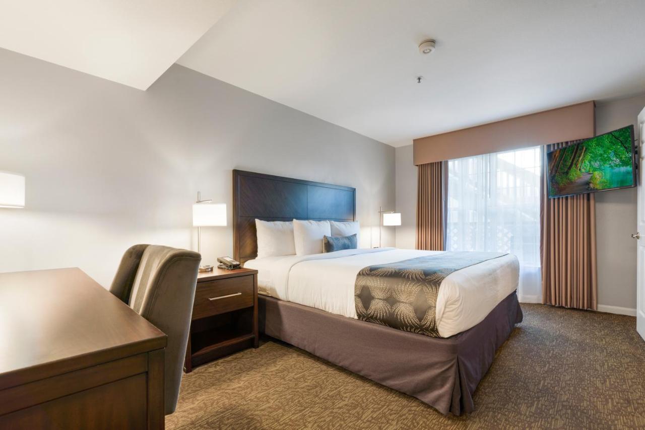 Chase Suites Brea-Fullerton - North Orange County Εξωτερικό φωτογραφία
